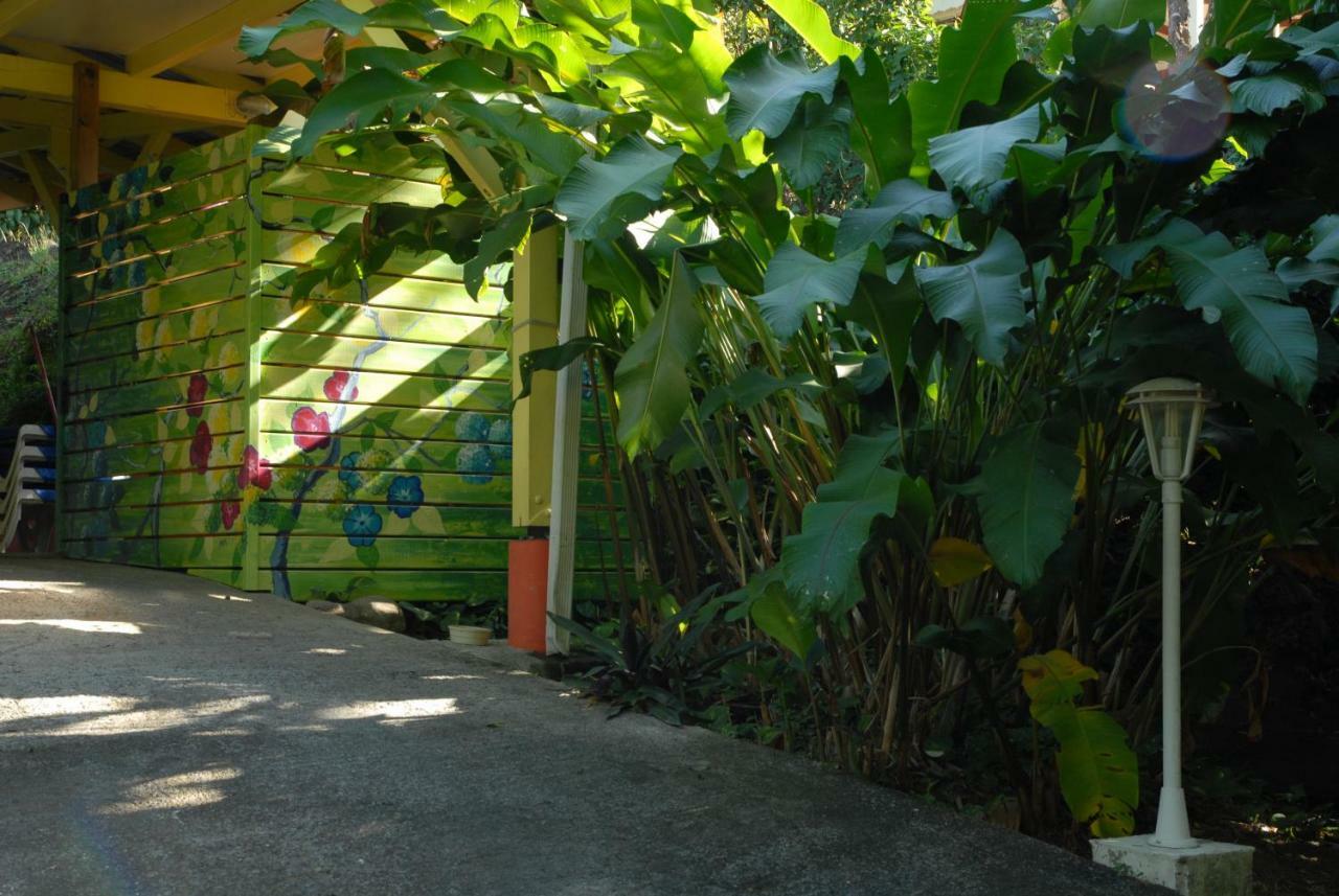 Green House Deshaies Exterior foto